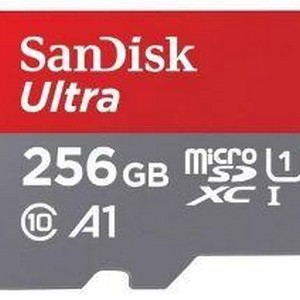 Micro sd 256gb